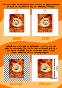 Acrylic Double-sided Custom Pet Portrait Charm Keychain With Stainless Steel Keyring