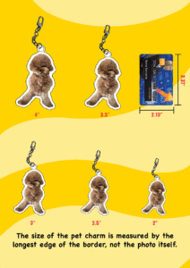Acrylic Double-sided Custom Full/Partial Body Pet Cut-out Charm Keychain With Carabiner Clip