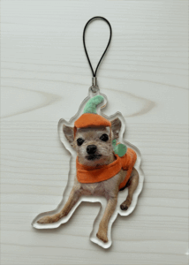 Acrylic Double-sided Custom Full/Partial Body Pet Cut-out Charm Keychain With Universal Cellphone String