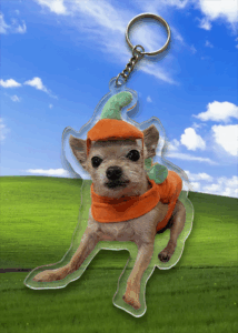 Acrylic Double-sided Custom Full/Partial Body Pet Cut-out Charm Keychain With Stainless Steel Keyring