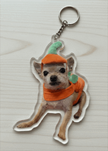 Acrylic Double-sided Custom Full/Partial Body Pet Cut-out Charm Keychain With Stainless Steel Keyring