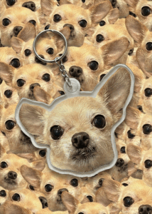 Acrylic Double-sided Custom Pet Face Cut-out Charm Keychain With Stainless Steel Keyring