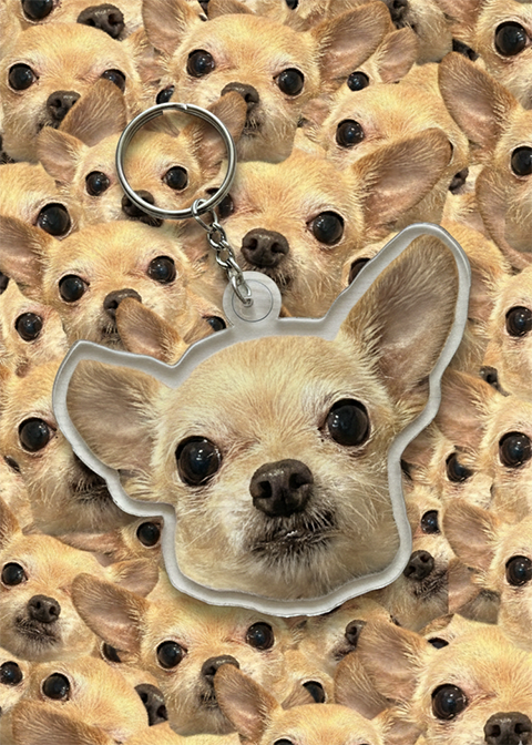 Acrylic Double-sided Custom Pet Face Cut-out Charm Keychain With Stainless Steel Keyring