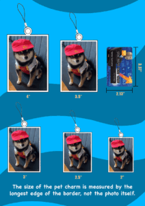 Acrylic Double-sided Custom Pet Portrait Charm Keychain With Universal Cellphone String