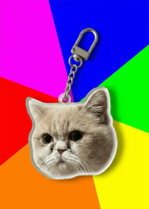 Acrylic Double-sided Custom Pet Face Cut-out Charm Keychain With Carabiner Clip