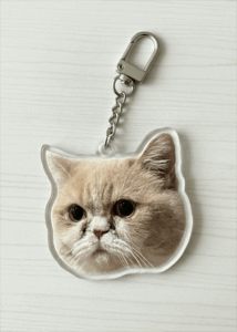 Acrylic Double-sided Custom Pet Face Cut-out Charm Keychain With Carabiner Clip