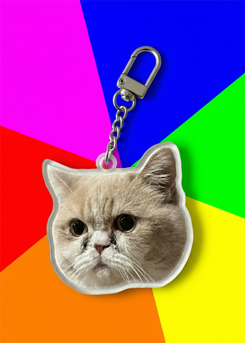 Acrylic Double-sided Custom Pet Face Cut-out Charm Keychain With Carabiner Clip