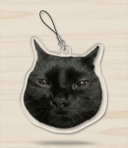 Acrylic Double-sided Custom Pet Face Cut-out Charm Keychain With Universal Cellphone String