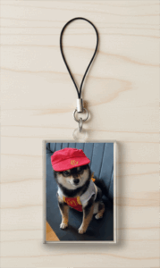 Acrylic Double-sided Custom Pet Portrait Charm Keychain With Universal Cellphone String