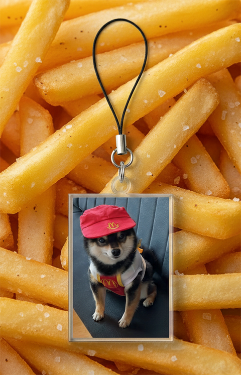 Acrylic Double-sided Custom Pet Portrait Charm Keychain With Universal Cellphone String