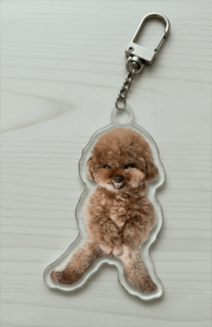 Acrylic Double-sided Custom Full/Partial Body Pet Cut-out Charm Keychain With Carabiner Clip