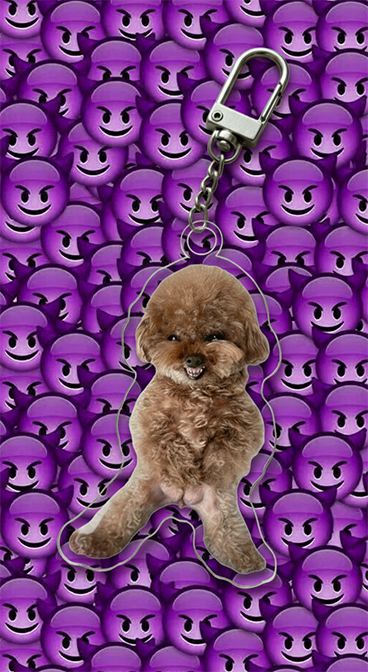 Acrylic Double-sided Custom Full/Partial Body Pet Cut-out Charm Keychain With Carabiner Clip