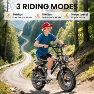 M6 Fat Tire Electric Bike – 500W Motor, 50-60 Mile Range, Full Suspension, 16" x 4" All-Terrain Tires