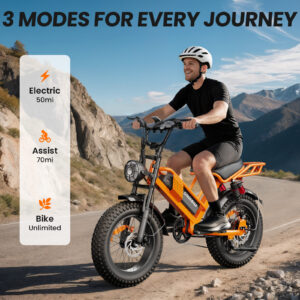 Eilleo M7 Fat Tire Electric Bike – 750W Motor, 720Wh UL-Certified Battery, 20" x 4" Fat Tires, Up to 70 Mile Range