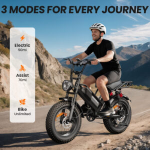 Eilleo M7 Fat Tire Electric Bike – 750W Motor, 720Wh UL-Certified Battery, 20" x 4" Fat Tires, Up to 70 Mile Range